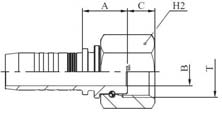 HEMBRA BSP CARA PLANA TUERCA M20612 M20613